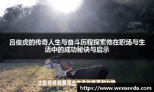 星空电竞官网